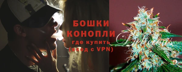 ПСИЛОЦИБИНОВЫЕ ГРИБЫ Белокуриха