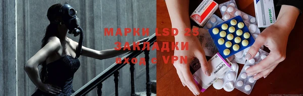 ПСИЛОЦИБИНОВЫЕ ГРИБЫ Белокуриха