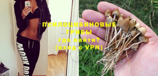 ПСИЛОЦИБИНОВЫЕ ГРИБЫ Белокуриха