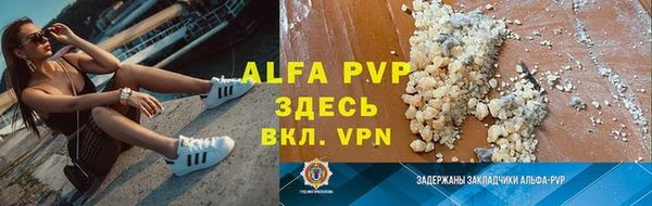 ПСИЛОЦИБИНОВЫЕ ГРИБЫ Белокуриха