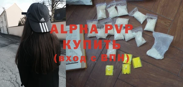 ПСИЛОЦИБИНОВЫЕ ГРИБЫ Белокуриха