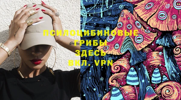 ПСИЛОЦИБИНОВЫЕ ГРИБЫ Белокуриха